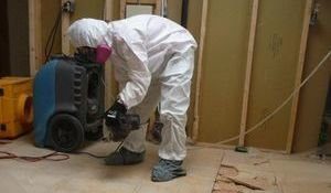 Mold Removal