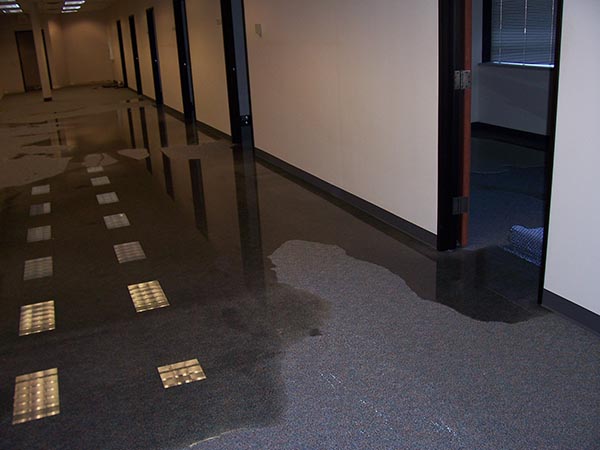 Water Damage Restoration