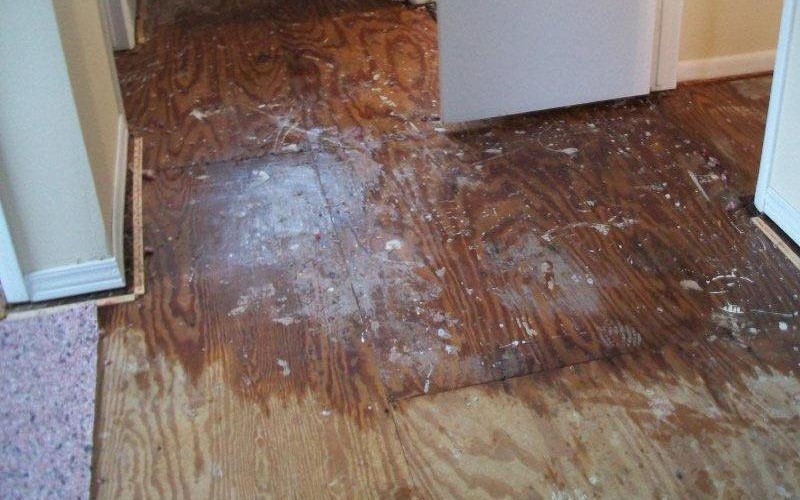 Water Damage Restoration