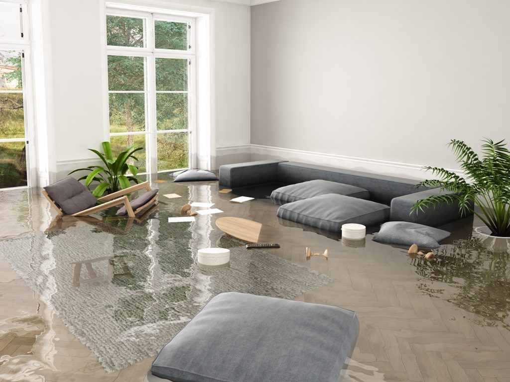 Water Damage Restoration