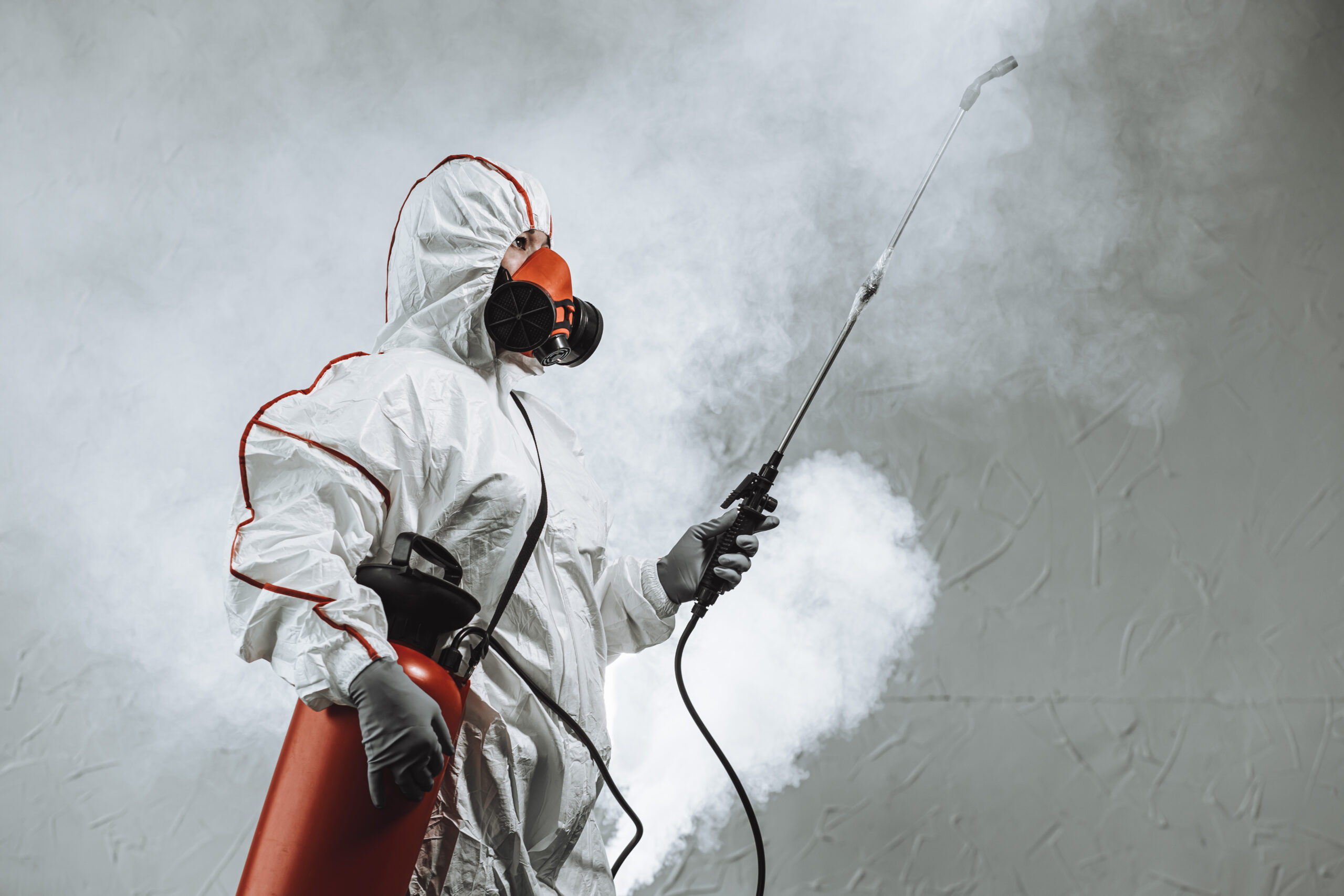 mold removal