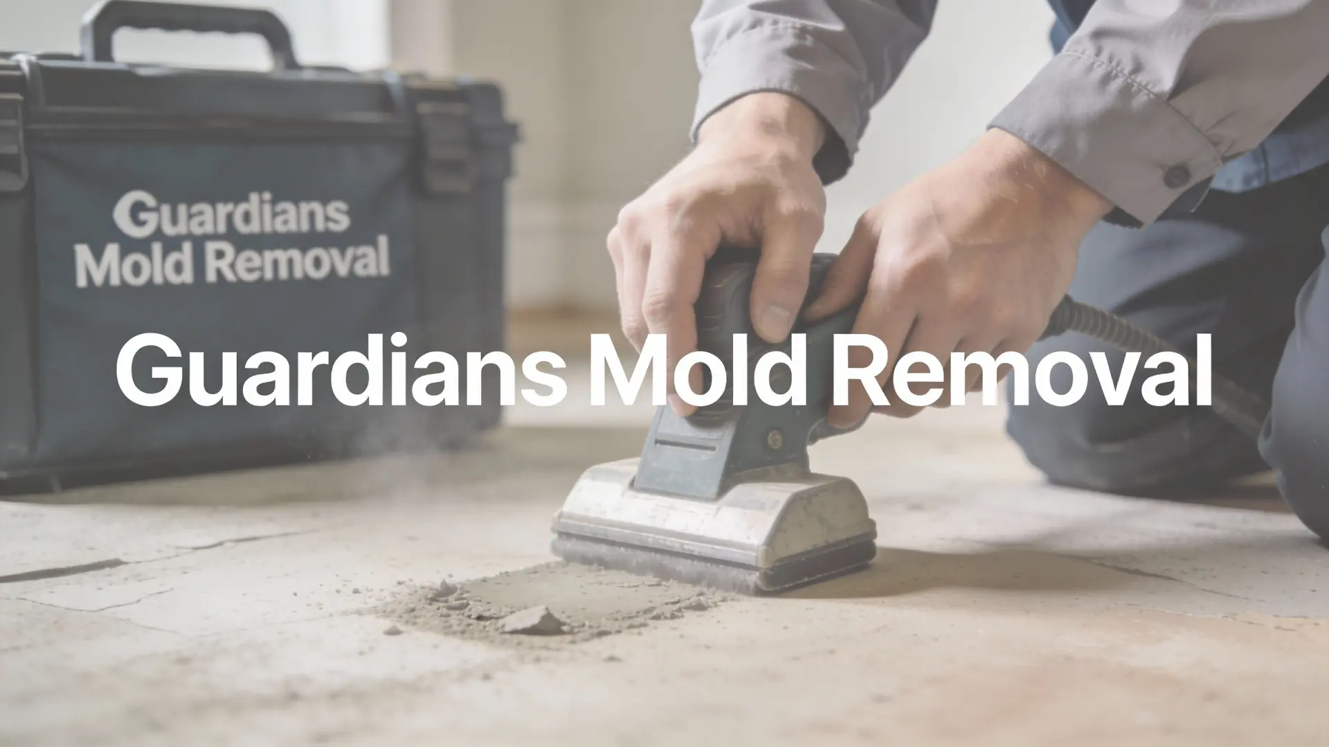 Guardians Mold Removal - About Us